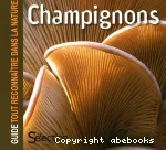 Champignons